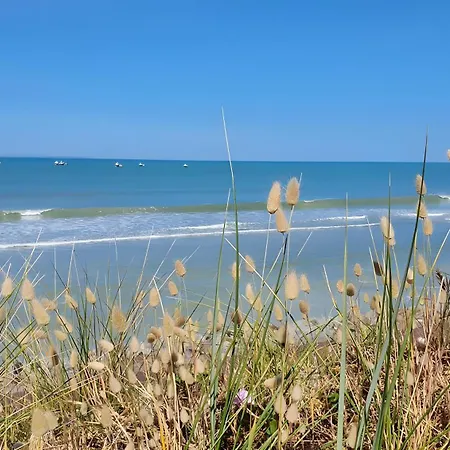 Bord De - Le Chardon *