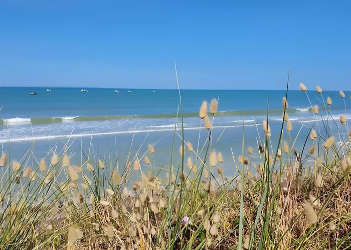 Bord De - Le Chardon *