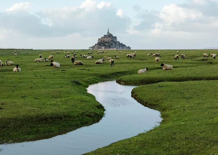 Bord De - Le Chardon Pirou